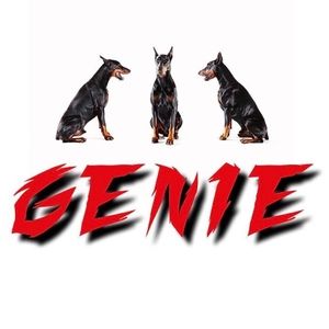 Meet your Posher, Genie